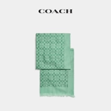 [Зимняя скидка] Тренер/тренер Классический Классик Земли Полотенце