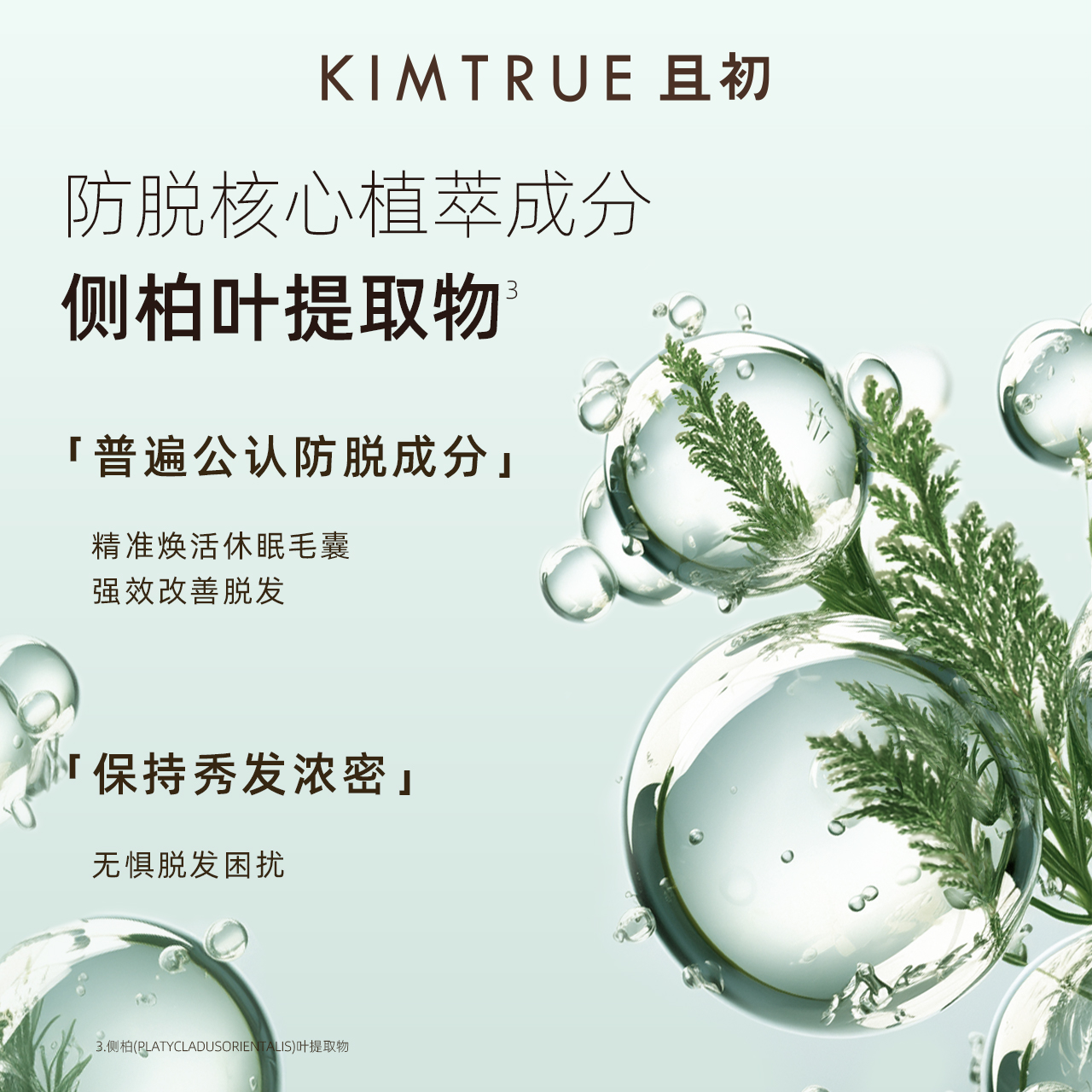 KIMTRUE且初防脱泡泡精华液头皮护理固发护发清爽侧柏叶头皮精华 - 图2