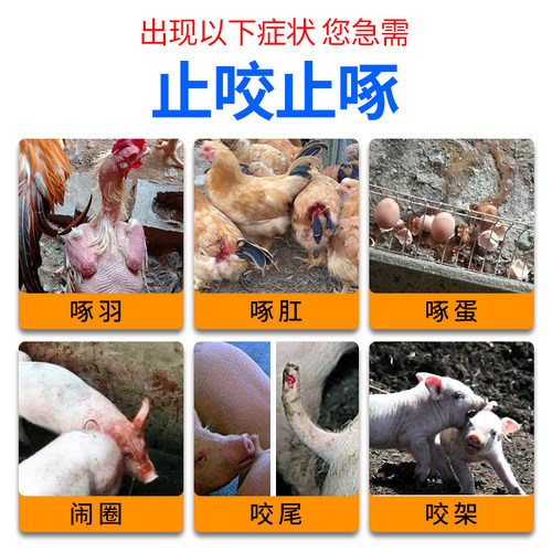 止咬止啄鸡鸭鹅啄毛啄羽咬尾啄蛋啄肛微量元素禽用芦丁鸡啄羽清 - 图0