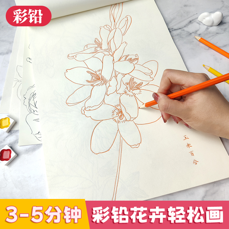 百花绘白描描摹本 工笔画花卉白描线稿临摹 百花图谱 勾线控笔描摹 中国画白描初学者入门  工笔画白描底稿 - 图0