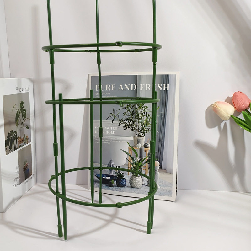 植物支撑杆园艺支架花架爬藤支架室内阳台户外绿萝蟹爪兰固定支架,淘宝优惠券,粉丝福利购,淘宝优惠卷