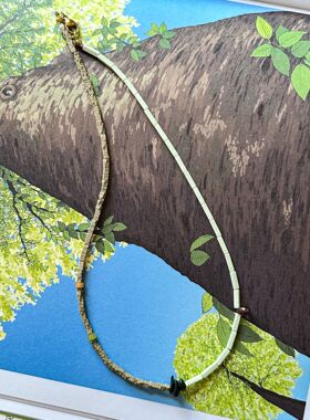 「罗马假日系列」简约中古百搭异形贝壳氧化锆拼接设计小众项链