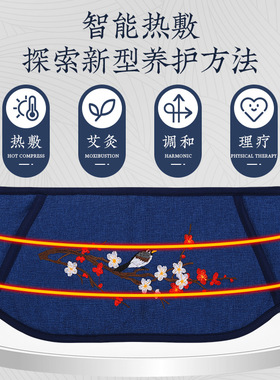 电热护腰宝艾草本插电加热智能控
