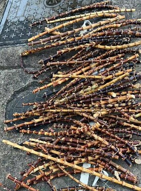 竹艺工艺品多色随机发货挑货加价