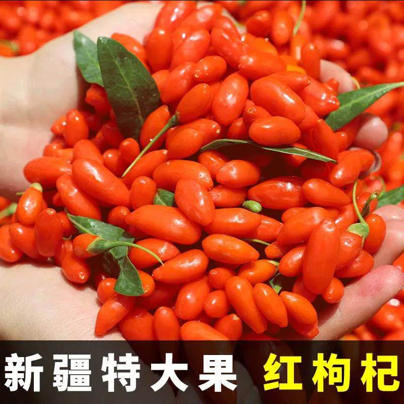 新疆精河老品种贡果枸杞农家自产自销无硫无染色大果头茬红枸杞子