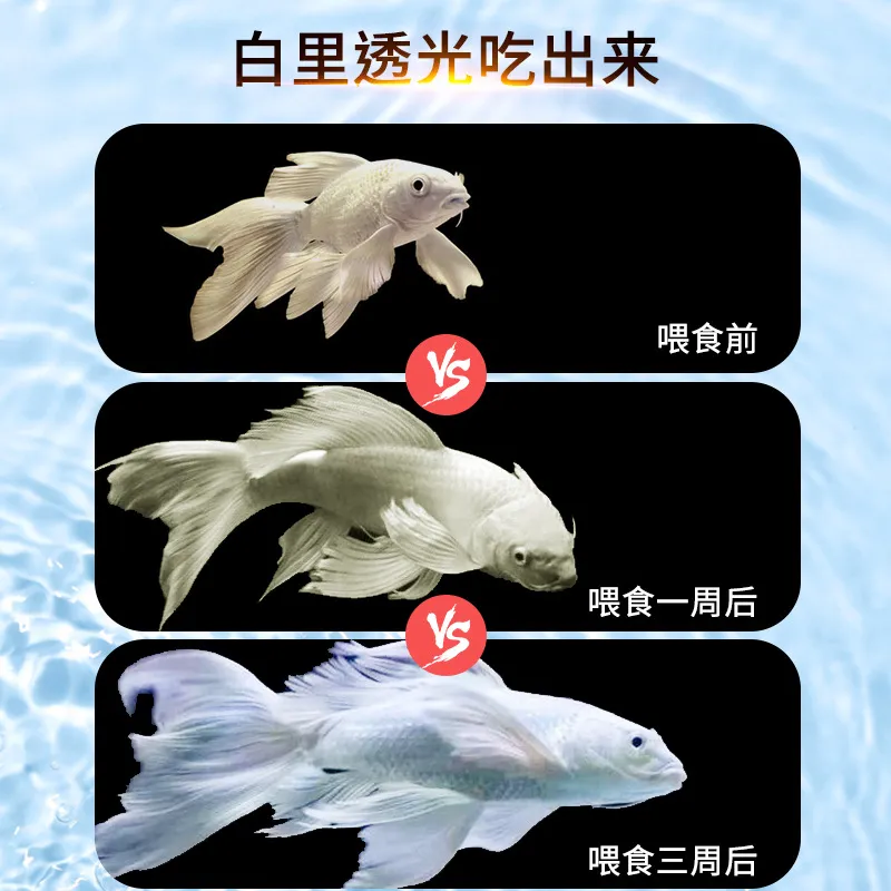 疯狂水草蝴蝶鲤鱼粮增白增体金鱼观赏鱼锦鲤饲料颗粒鱼食,淘宝优惠券,粉丝福利购,淘宝优惠卷