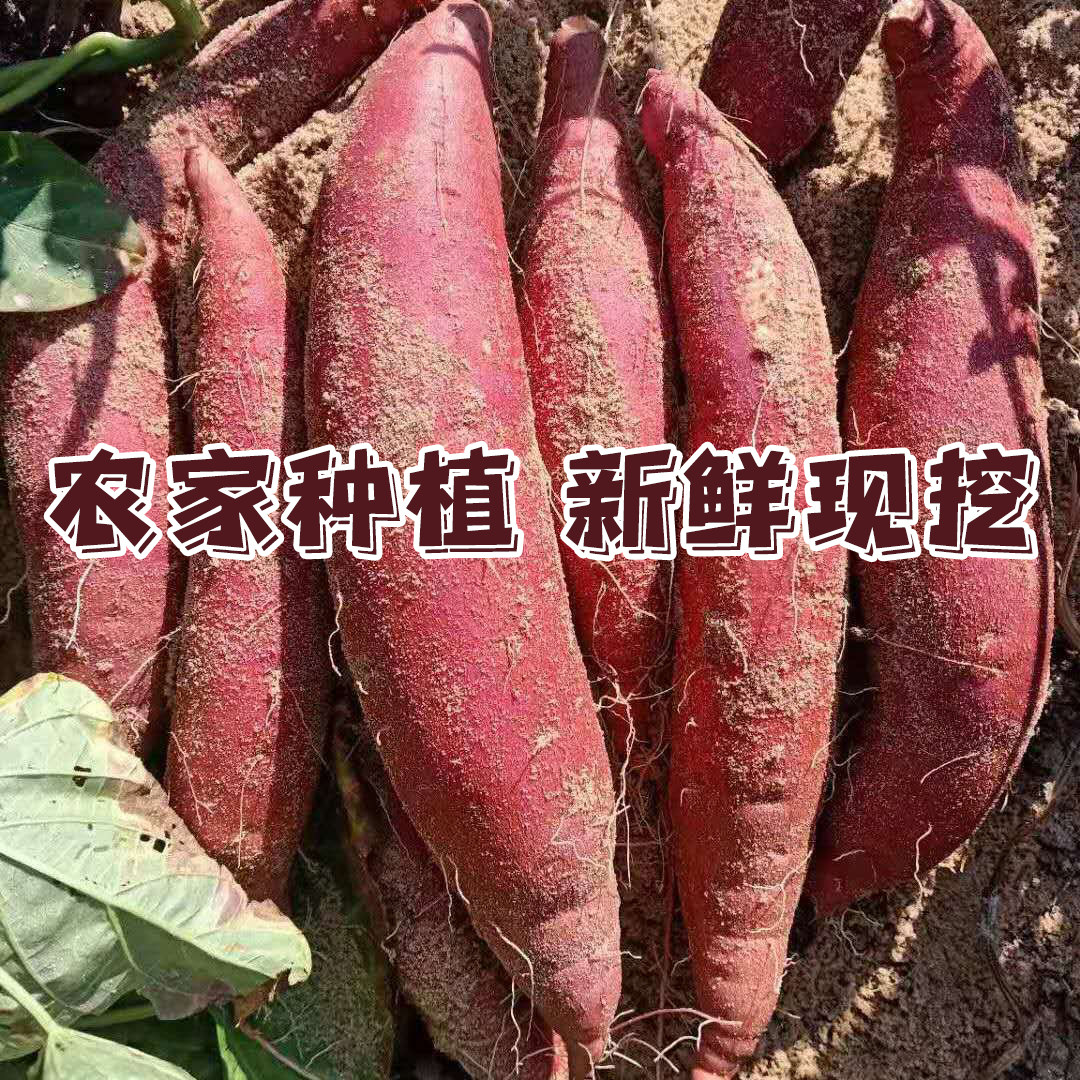 5斤包邮新鲜红心蜜薯糖心山东地瓜 夏卡番薯