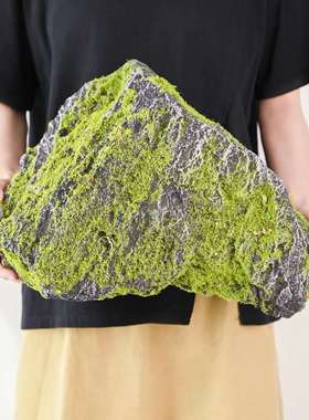 仿真青苔泡沫仿生石头森林造景室内庭院假山苔藓假石头道具摆件