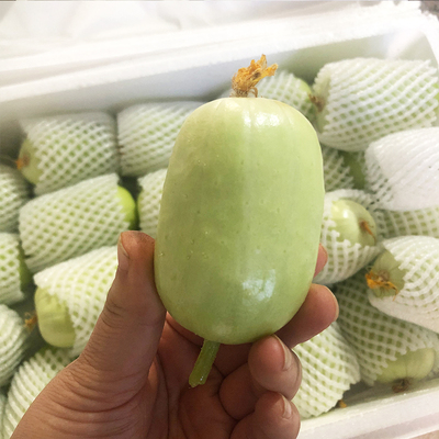 玉女小黄瓜新鲜黄瓜鲜嫩清甜爽口现摘