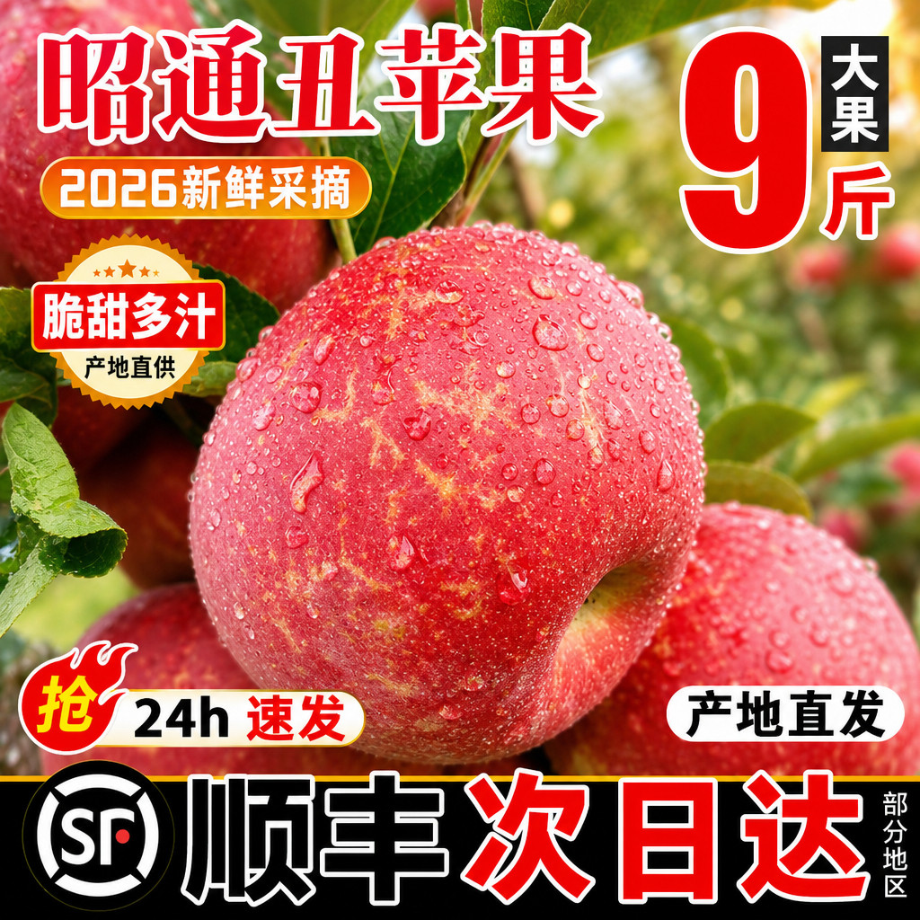 图 2