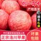 Authentic fresh-picked Luochuan apples! Crisp, sweet and juicy