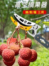 Fruit-picking Pruner prunes Prunes Prunes of the Fruity Berries of the fruit Plum Loquat Lychee Dragon Eye Picker with high branches