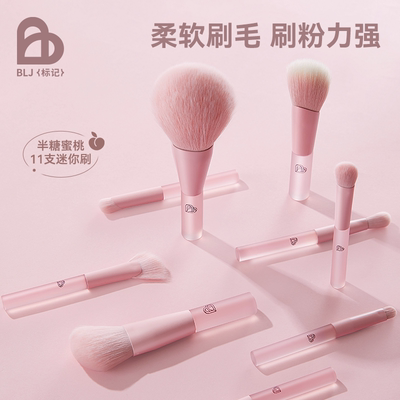 BLJ化妆刷子迷你便携套装动物毛全套工具