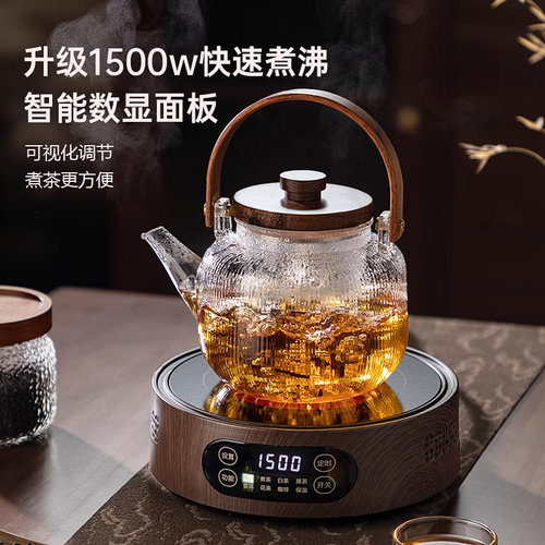 忆壶茶2026新款煮茶器蒸煮茶壶电陶炉煮茶套装耐高温家用烧水壶 - 图0