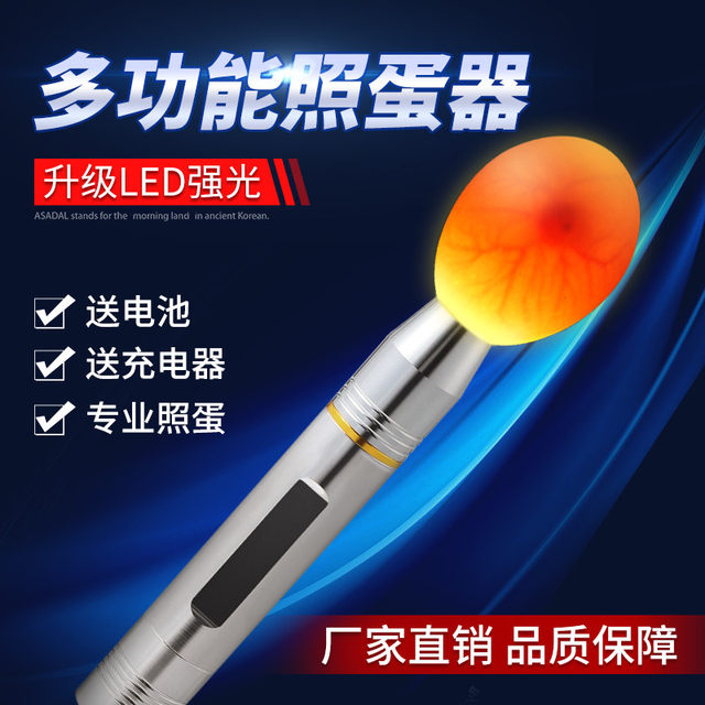 German egg illuminator LED flashlight hatching special