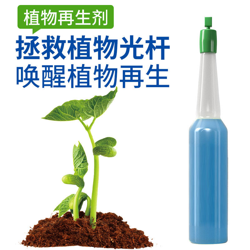 发财树植物再生剂浓缩营养液复活液肥盆栽肥料专用防黄叶枯叶烂根,淘宝优惠券,粉丝福利购,淘宝优惠卷