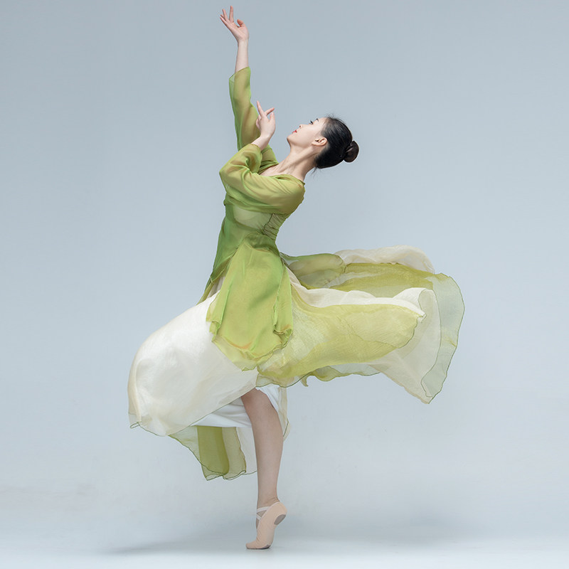 练功服女身韵纱衣舞蹈服装飘逸纱裙 靓卫士民族服装/舞台装