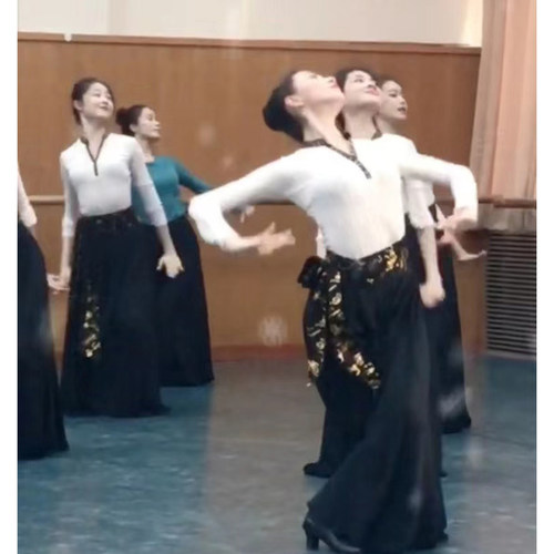 蒙古舞蹈练习裙藏族舞表演出服装艺考民族舞大摆裙新疆舞广场舞蹈 - 图1