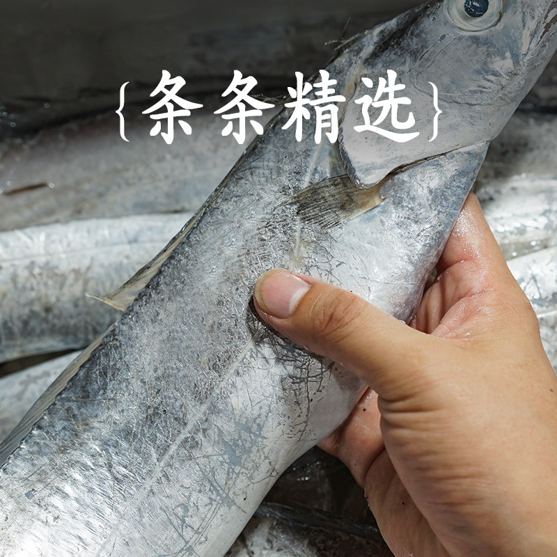 舟山野生小眼睛整条东海特级大带鱼 鲜喜利带鱼