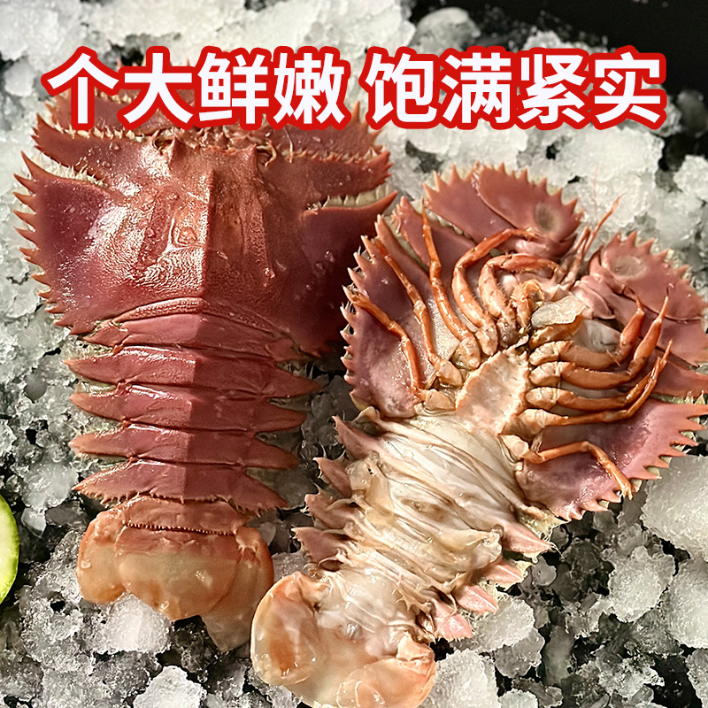 舟山琵琶虾新鲜九齿扇虾海鲜虾姑特大濑尿虾生鲜水产鲜活冷冻爬虾 - 图0