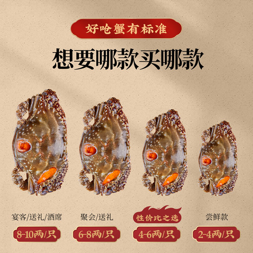 舟山红膏呛蟹整只酱母蟹宁波炝蟹梭子蟹咸蟹生腌螃蟹海鲜醉蟹即食 - 图3