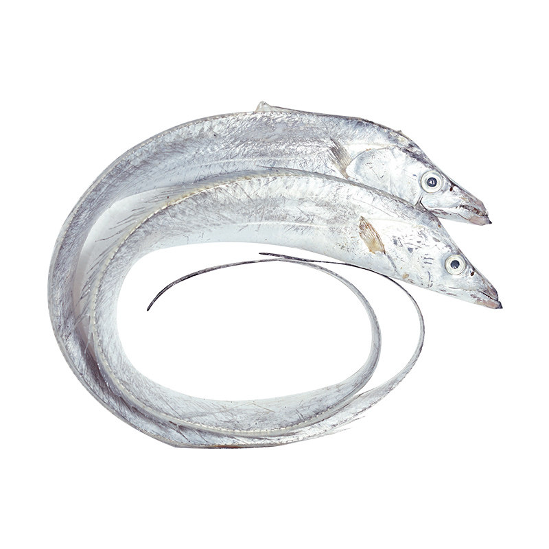 舟山野生小眼睛整条东海特级大带鱼 鲜喜利带鱼