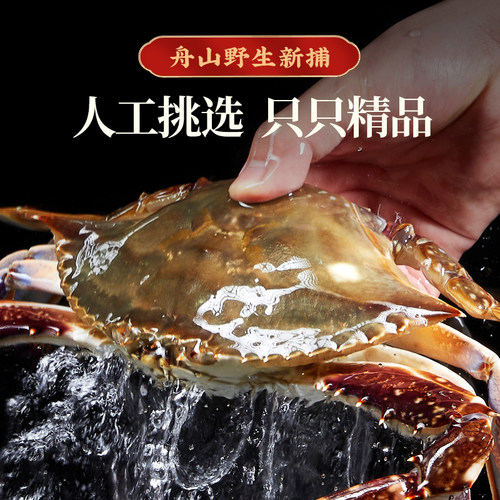 舟山红膏呛蟹整只酱母蟹宁波炝蟹梭子蟹咸蟹生腌螃蟹海鲜醉蟹即食 - 图0