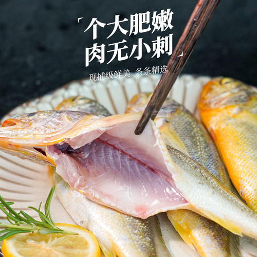 真正舟山小黄鱼新鲜冷冻深海海鲜水产黄花鱼生鲜冰鲜海鱼商用烧烤 - 图2