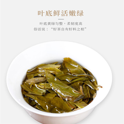 冰岛古树生茶普洱饼茶云南七子饼茶叶养生茶生普小颗粒散装茶500g