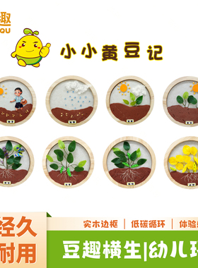 幼儿园环创黄豆成长主题墙贴
