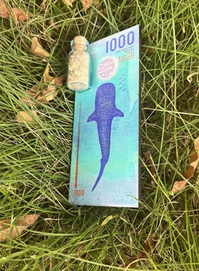 大量现货新款马尔代夫文创鲸鲨超美货币冰箱贴周边纪念品伴手礼物