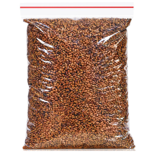 买1送1大颗粒炒熟决明子精选好货茶菊花决明子花草茶散装共发500g - 图3
