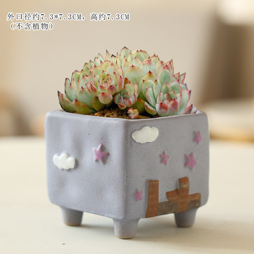 句号卡通创意个性多肉花盆陶瓷特价清仓粗陶彩绘手绘可爱透气肉肉 - 图0