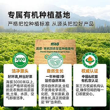 ffit8膳食纤维蔬菜代餐青汁40条[20元优惠券]-寻折猪