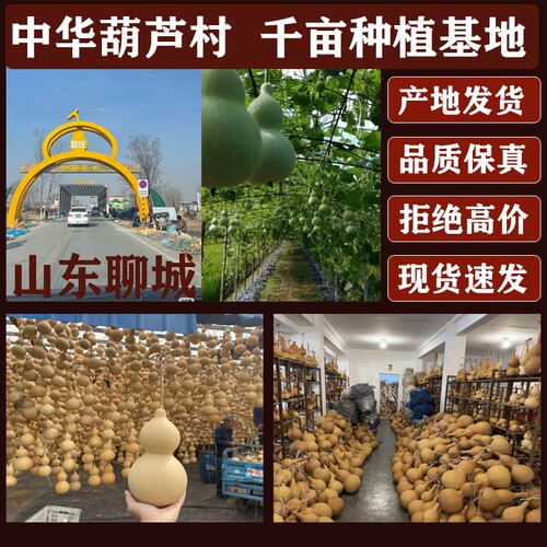 天然葫芦挂件真胡芦中国结开口门对门客厅带龙头招财摆件大号文玩 - 图2