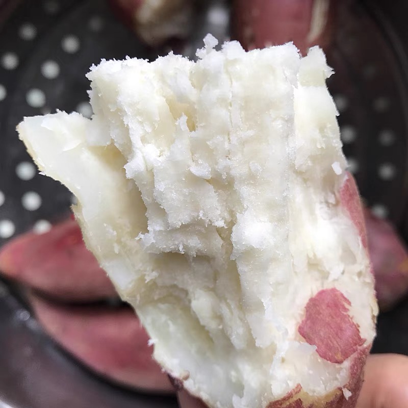 东北哈密冰糖薯新鲜白心板栗白薯面蜜薯白玉地瓜沙地农家瓦房店
