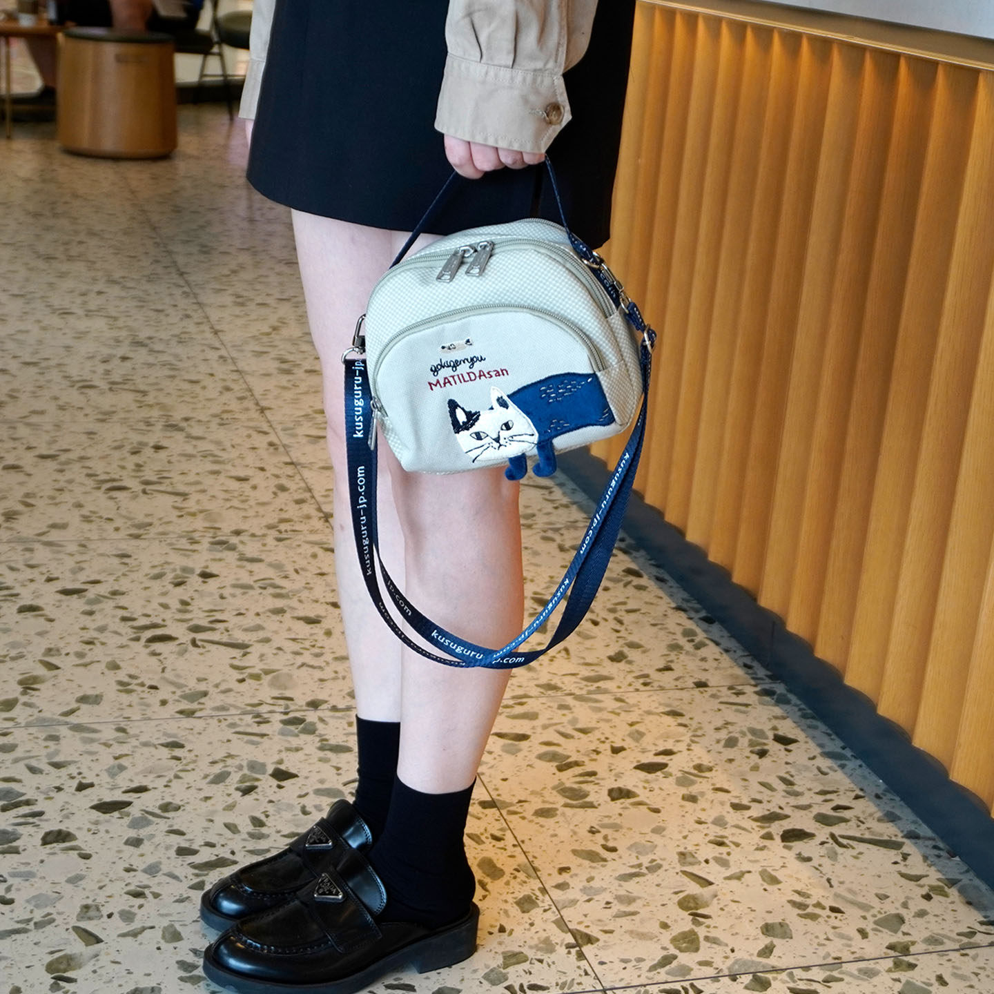 可放相机 日本正品多隔层超实用斜挎包多分层拉链手提包刺绣猫咪,淘宝优惠券,粉丝福利购,淘宝优惠卷