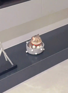 仿真狸花猫摆件新款可爱个性小猫咪捏捏解压玩具2025装饰摆件