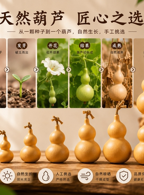 天然小葫芦精品文玩手捻胡芦龙头