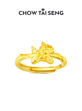 【生日礼物】周大生天马行空戒指