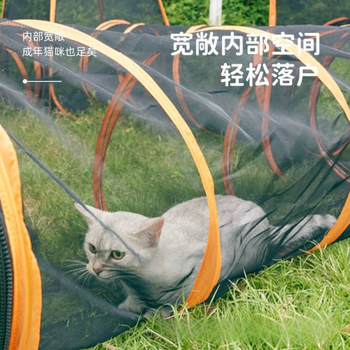 Туннель, игрушка, лабиринт, система хранения, кот, издает звуки, домашний питомец