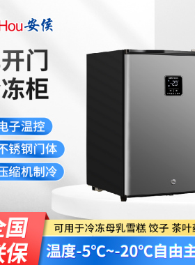 安侯家用迷你冷冻柜冰箱