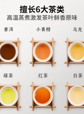 110V家用小型蒸汽煮茶器黑茶壶办