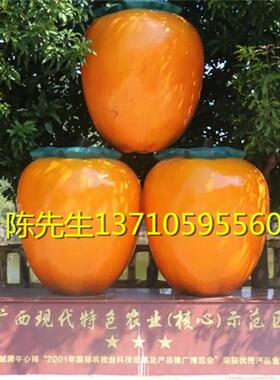 玻璃钢柿子模型雕塑甜脆柿摆件