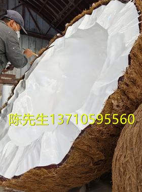 巨型发光椰子造型雕塑定制橙子