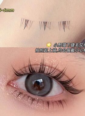 FAICCIA霏汐小方盒下睫毛锦集