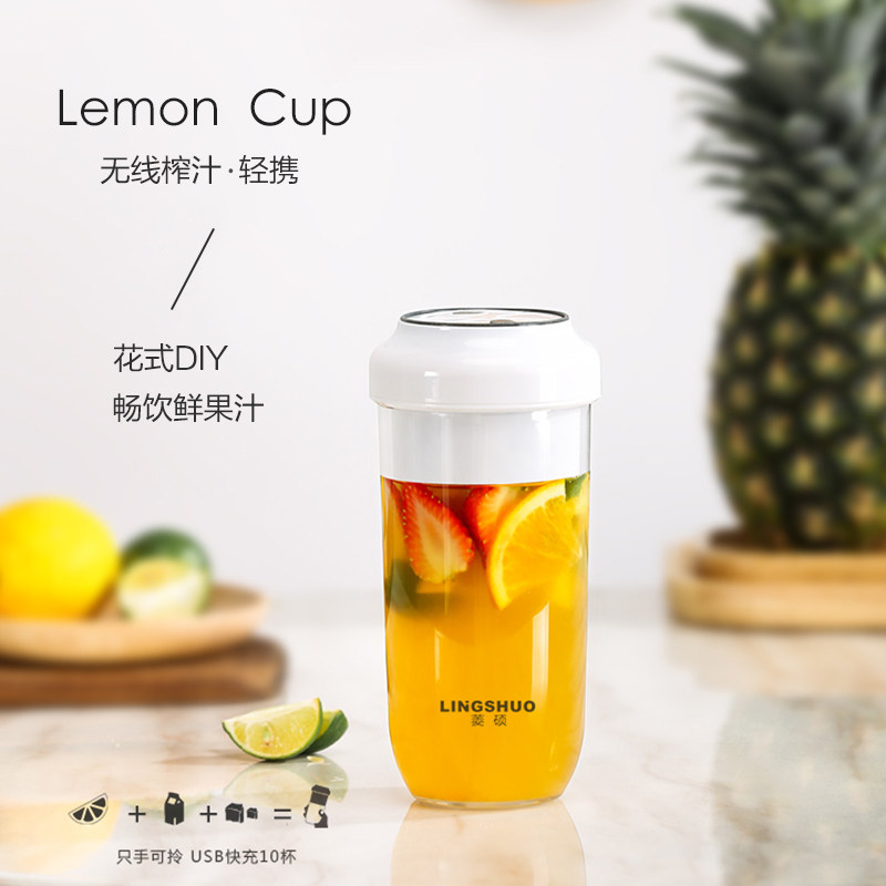 菱硕家用小型便携式迷你榨汁果汁机 菱硕榨汁机