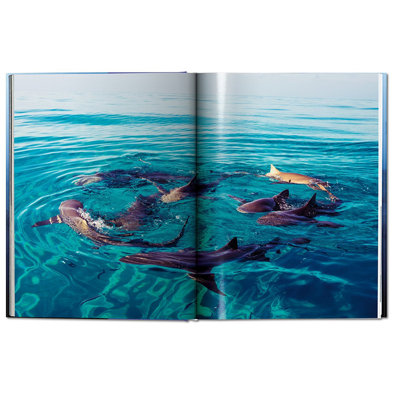 【现货】TASCHEN Michael Muller: Sharks迈克尔·穆勒：鲨鱼绘画艺术书籍作品画册集进口原版图书包邮-图1