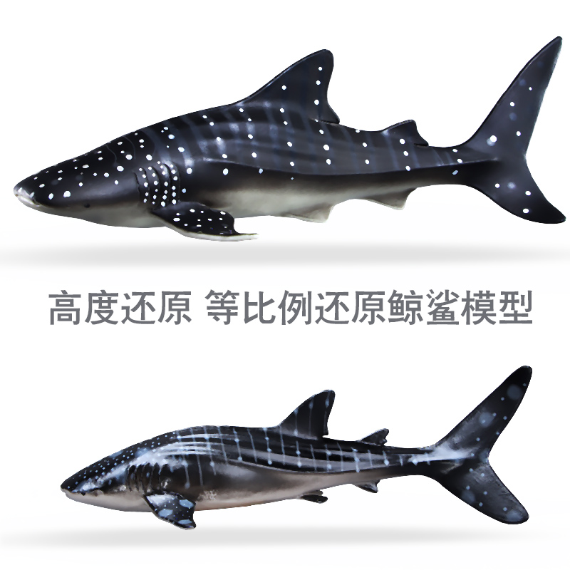 仿真海洋生物模型软胶鲸鲨玩具海底世界豆腐鲨鱼儿童科教认知礼物 - 图2