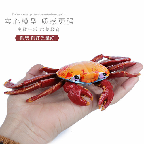 仿真海洋生物螃蟹玩具动物模型梭子蟹莎莉蟹实心儿童认知科教礼物 - 图0